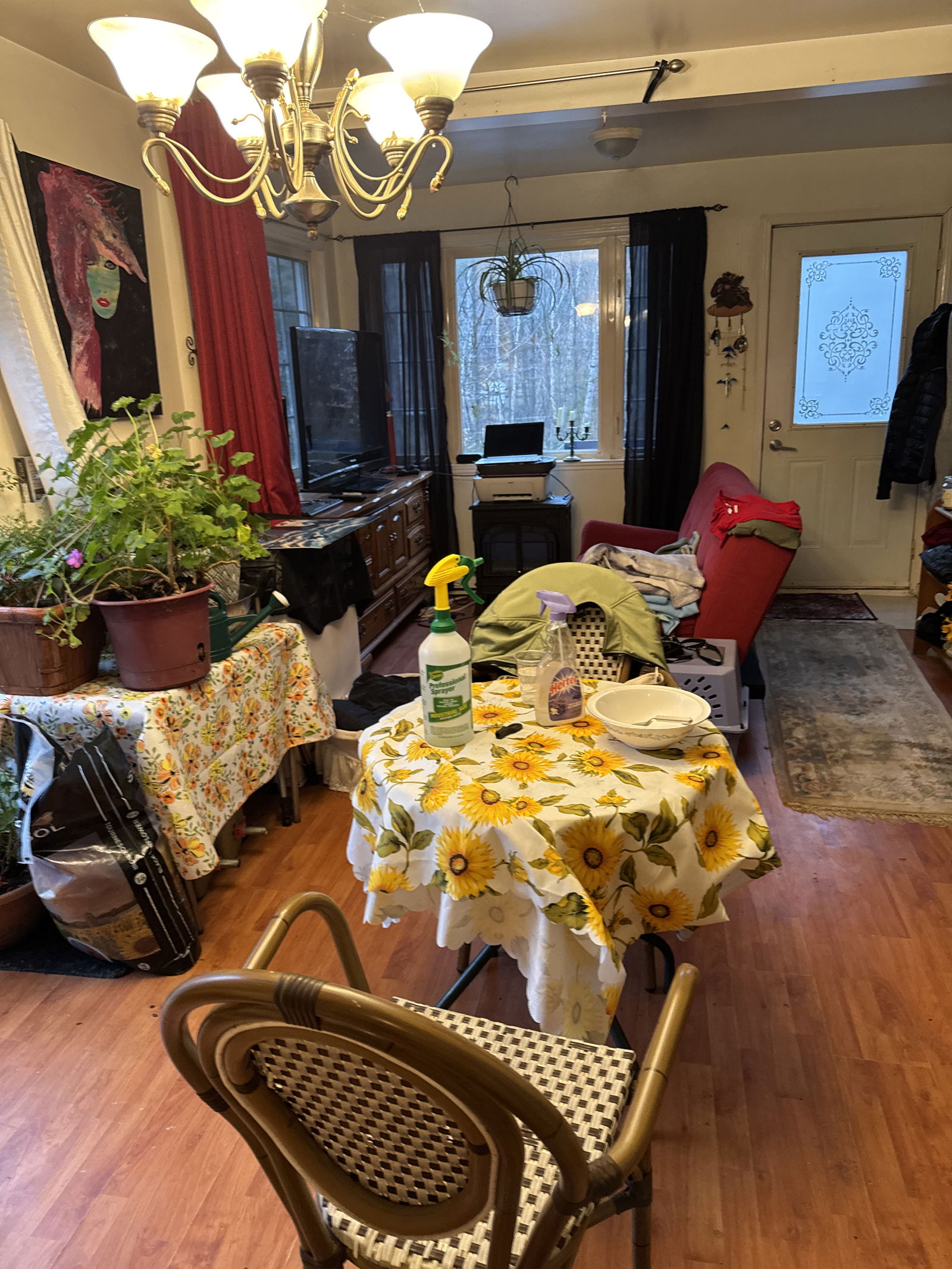 Chambre Chez L'habitant Prévost 465056