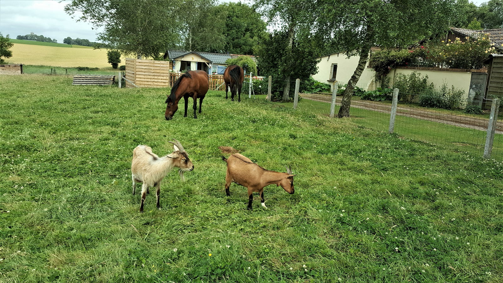 Logement Entier Criquetot-l'Esneval 252199