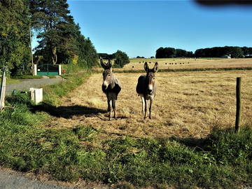 Logement Entier Criquetot-L'esneval 252199-43