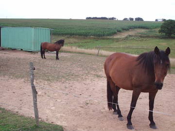 Logement Entier Criquetot-L'esneval 252199-39