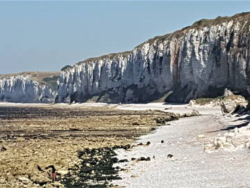 Logement Entier Criquetot-L'esneval 252199-4