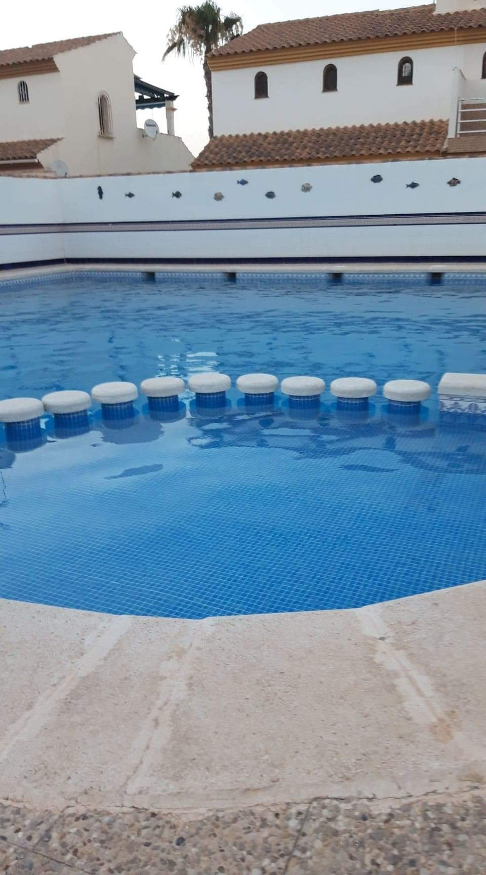 Unabhängiges Studio Torrevieja 125423