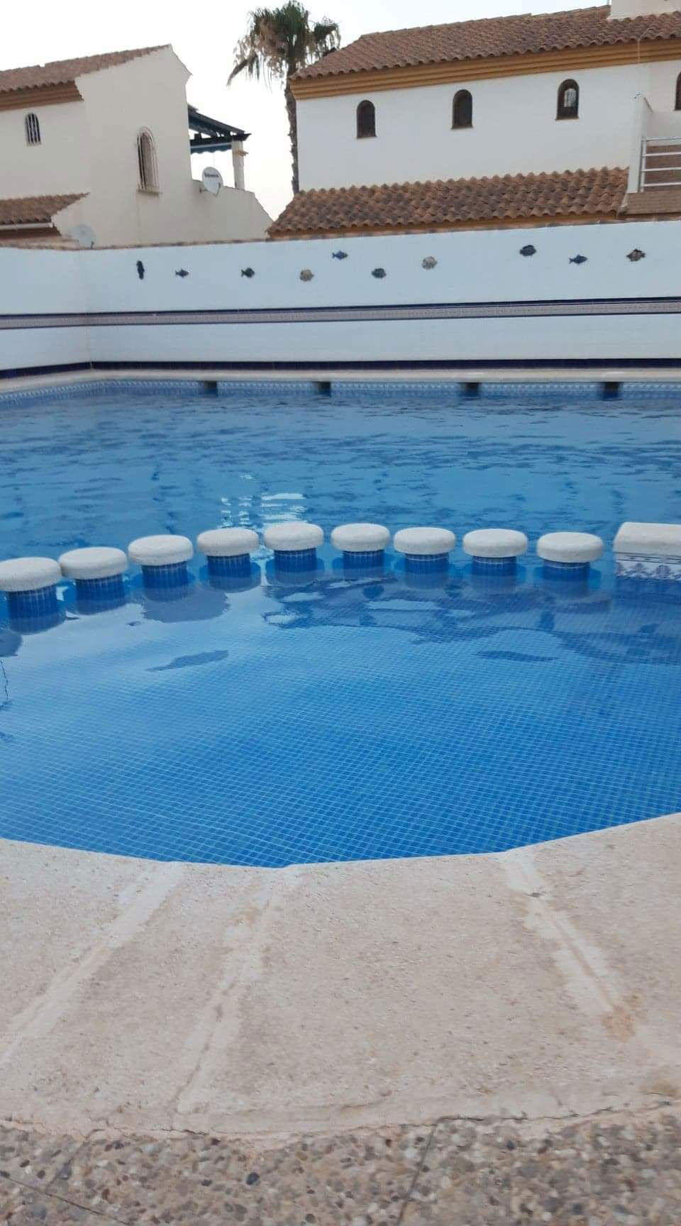 Independent Studio Torrevieja 125423