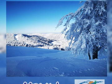 Logement Entier Cornimont 194161-11