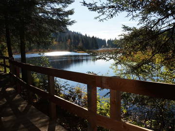 Logement Entier Cornimont 194161-12