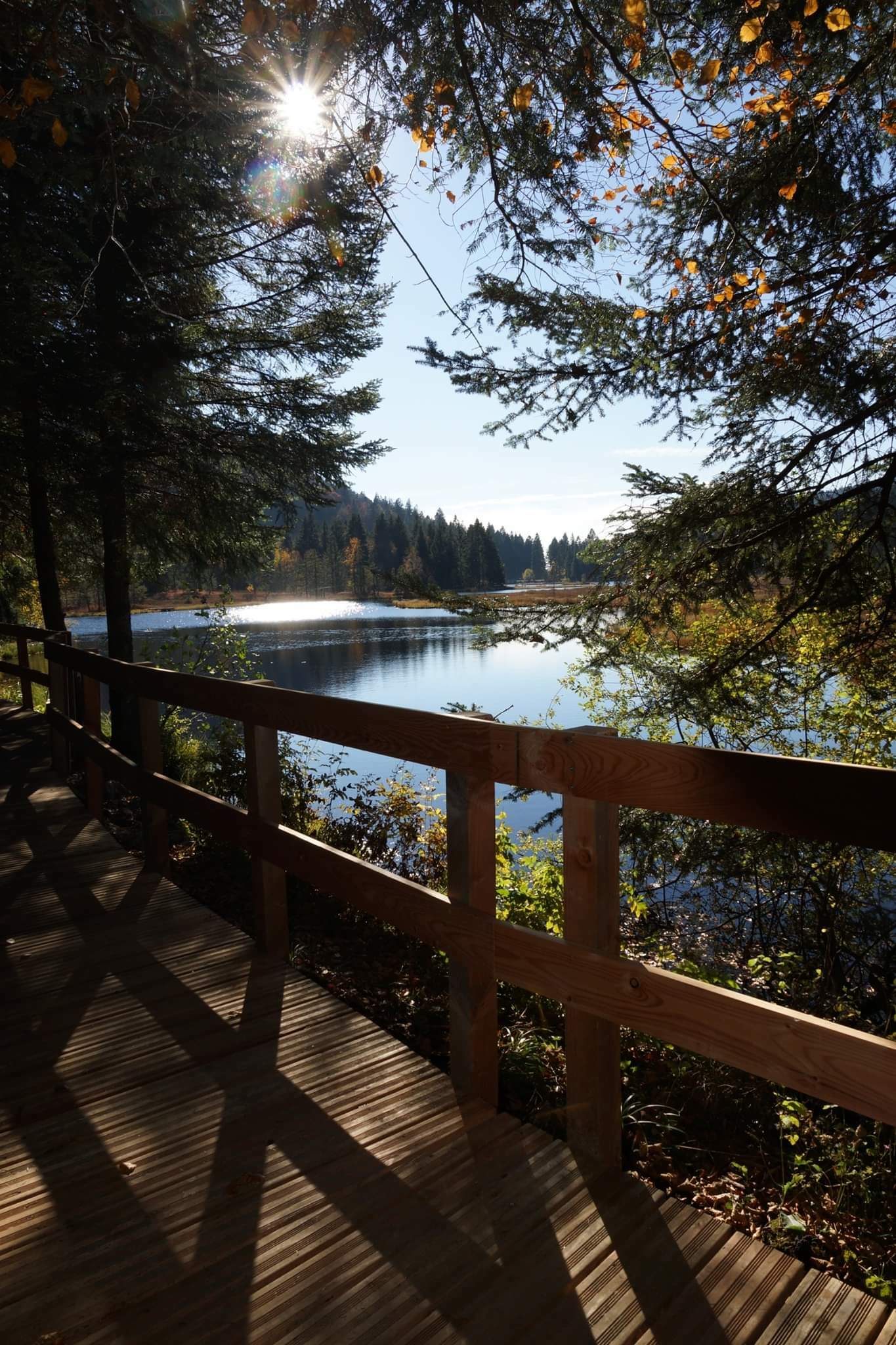 Tutta La Casa Cornimont 194161