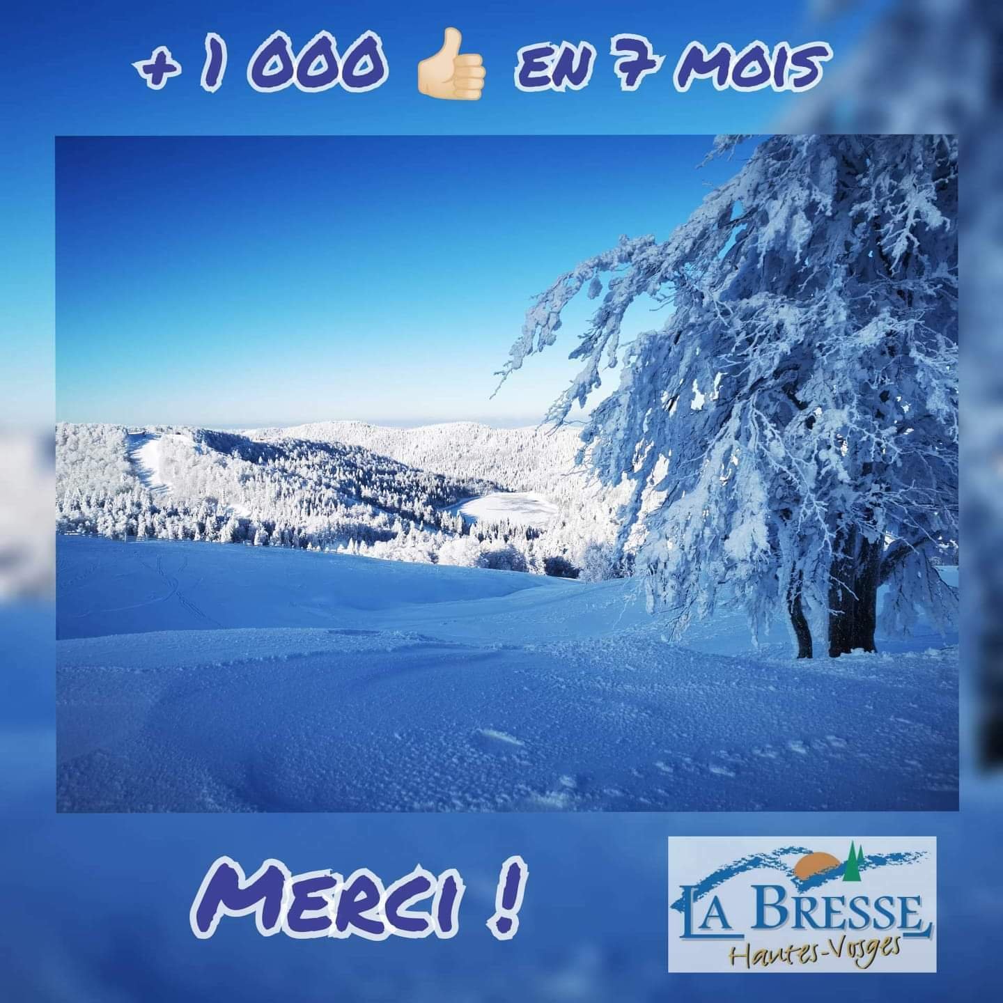 Onafhankelijke Studio Cornimont 194161