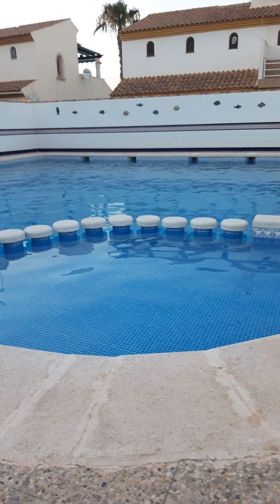 Itsenäinen Studio Torrevieja 125423