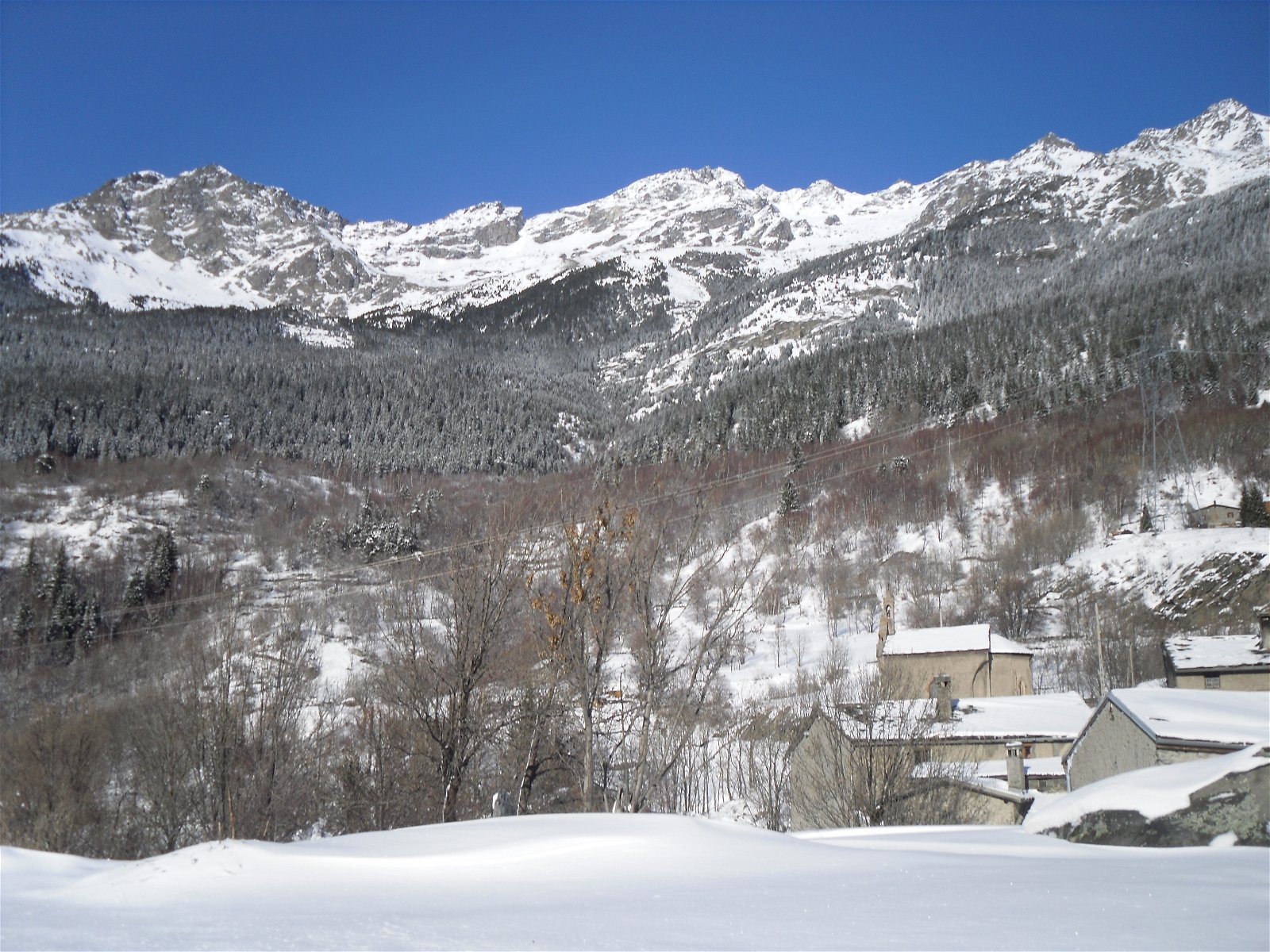 Onafhankelijke Studio Columbia 71604