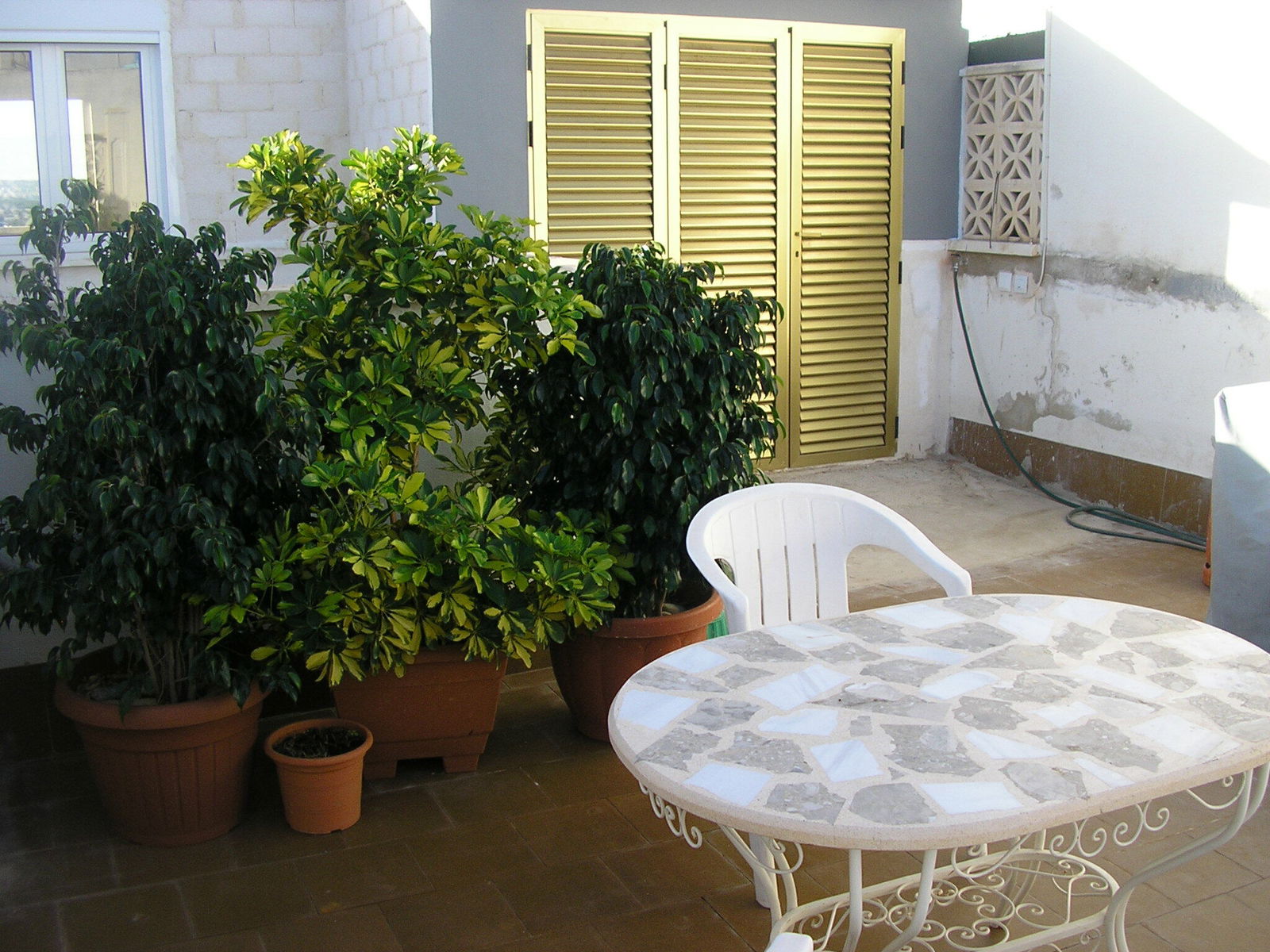 Chambre Chez L'habitant Elche 99383