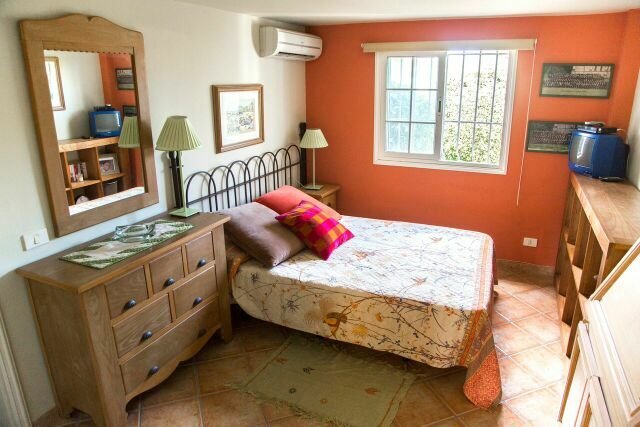 Estudio Independiente Amarilla Golf 107904