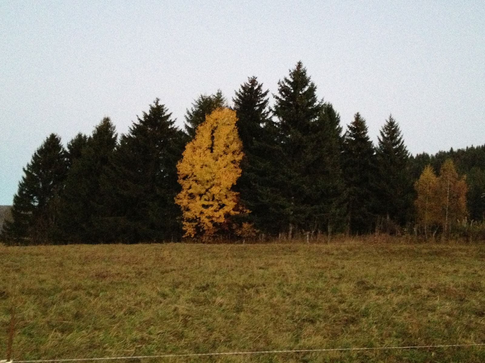 Unabhängiges Studio Autrans 198536