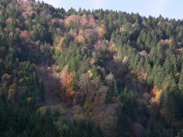 Onafhankelijke Studio Aillon-le-Jeune 40462