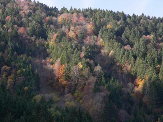 Estudio Independiente Aillon-le-Jeune 40462