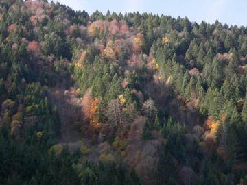 Logement Entier Aillon-Le-Jeune 40462-12