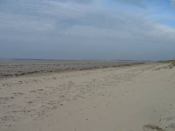 Logement Entier Denneville 81086-12