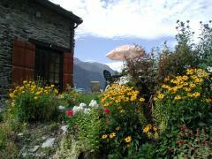 Tutta La Casa Columbia 71604