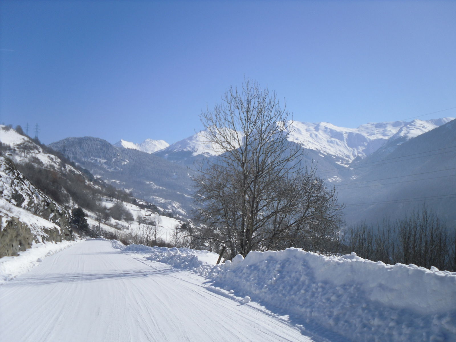 Tutta La Casa Columbia 71604