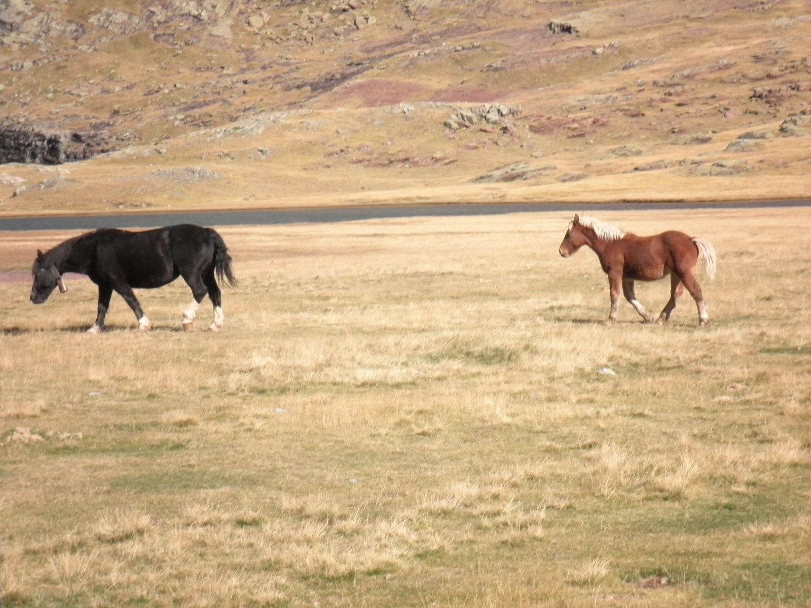 Tutta La Casa Laruns 97424