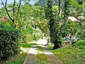 Logement Entier São Pedro Da Serra 231720-12