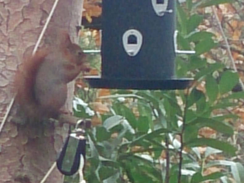 Ganzes Haus Saint-Cyr-la-Rivière 238404-4