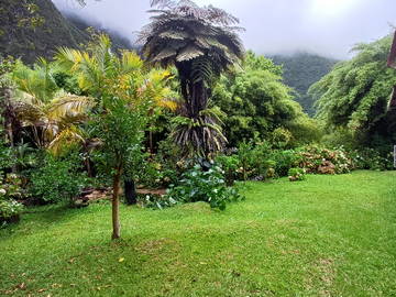 Logement Entier La Plaine-Des-Palmistes 655669-10