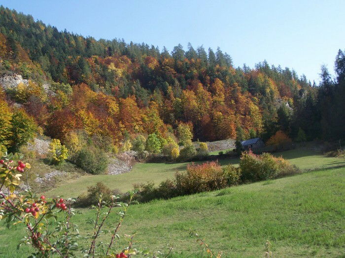 Independent Studio Ancelle 21984