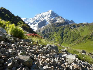 Logement Entier Ancelle 21984-12