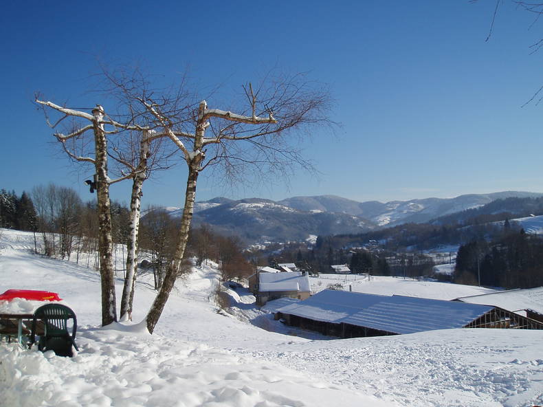 Ganzes Haus Le Thillot 150284-3