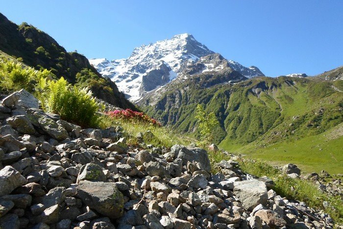 Oberoende Studio Ancelle 21984