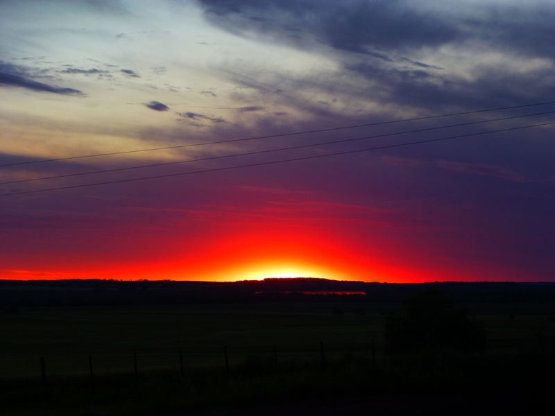 Unabhängiges Studio Egaña 93854