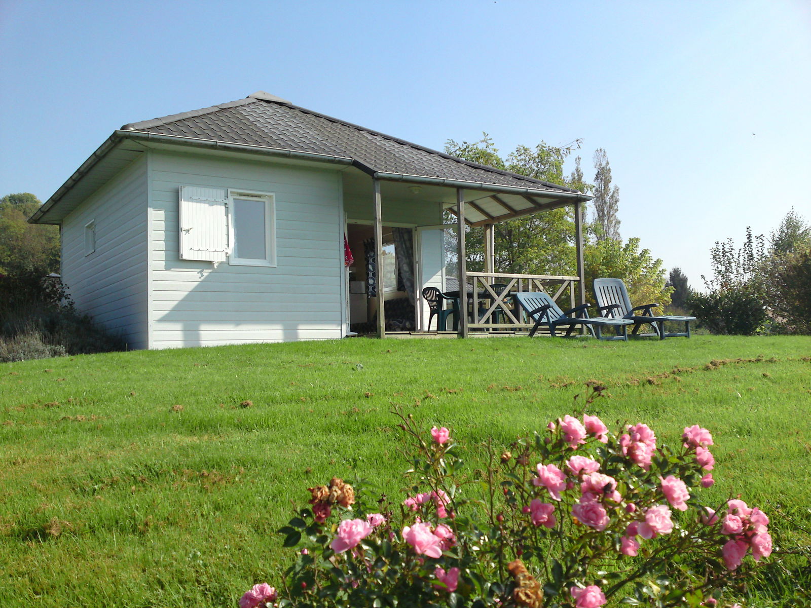 Onafhankelijke Studio Traves 82551