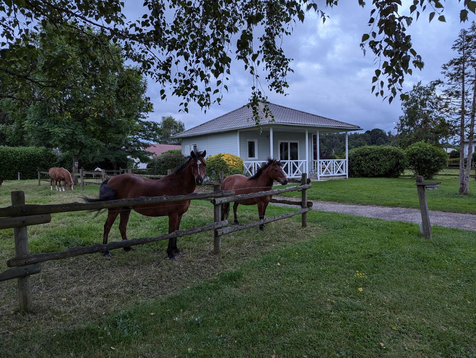 Studio Indépendant Traves 82551