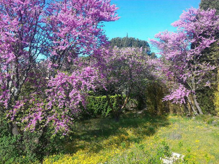 Colocation Aix-en-Provence 231103-4