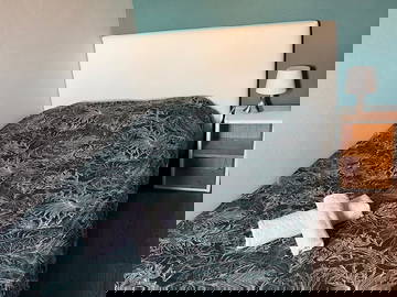 Colocation Mulhouse 516306-1