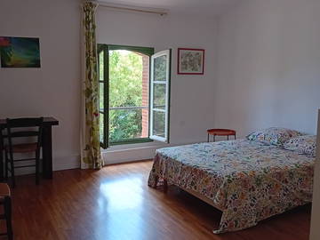 Chambre chez l'habitant à louer à Toulouse - photo 2 : chambre-2