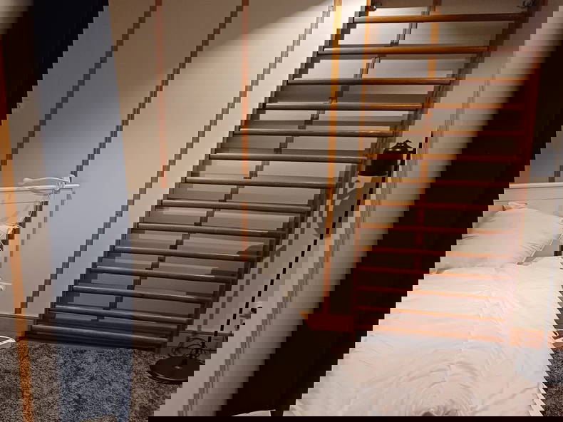 Kolokation Saint-Maur-des-Fossés 515839-3