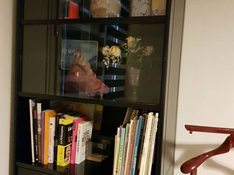 Gastgezin Clermont-Ferrand 652209