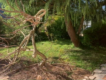 Chambre chez l'habitant à louer à Incourt - photo 3 : autre pièce-3