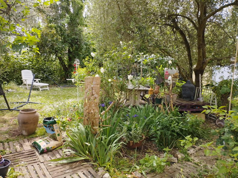 Gastfamilie Athis-Mons 256705-2