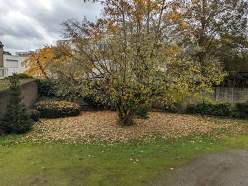Colocation à louer à Thionville - jardin-5