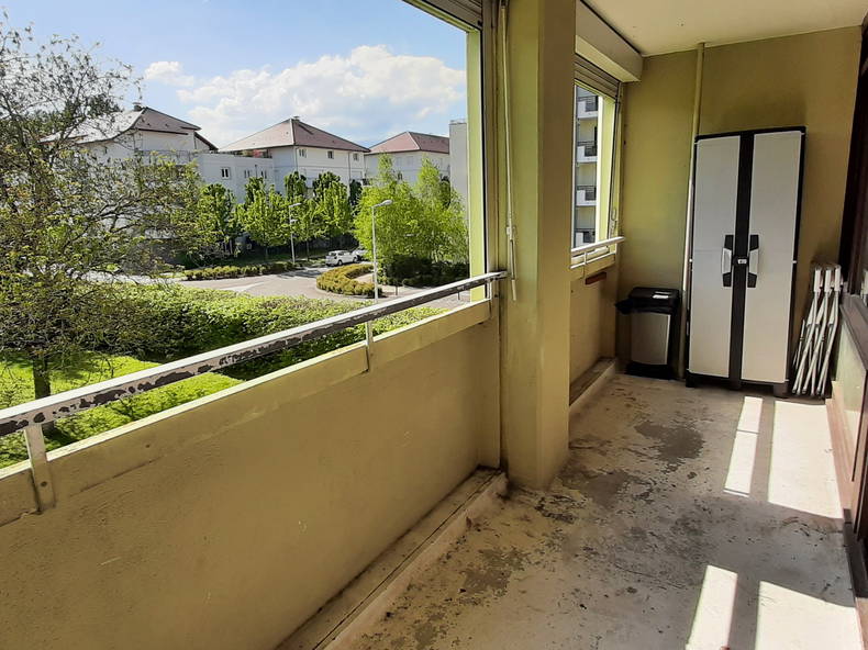 Kolokasie Ferney-Voltaire 230800-3