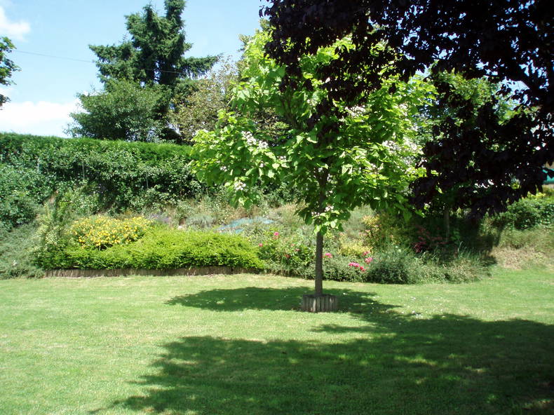 Entire Home Torcy 263714-4