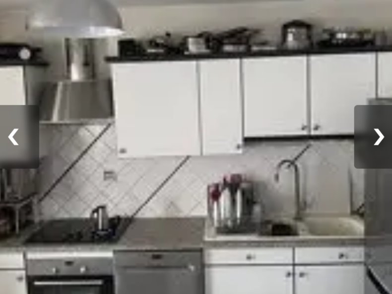 Colocation Annemasse 264321-3