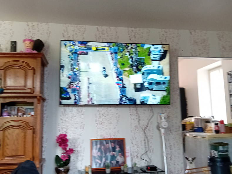 Kolokasie Thiernu 415762-1