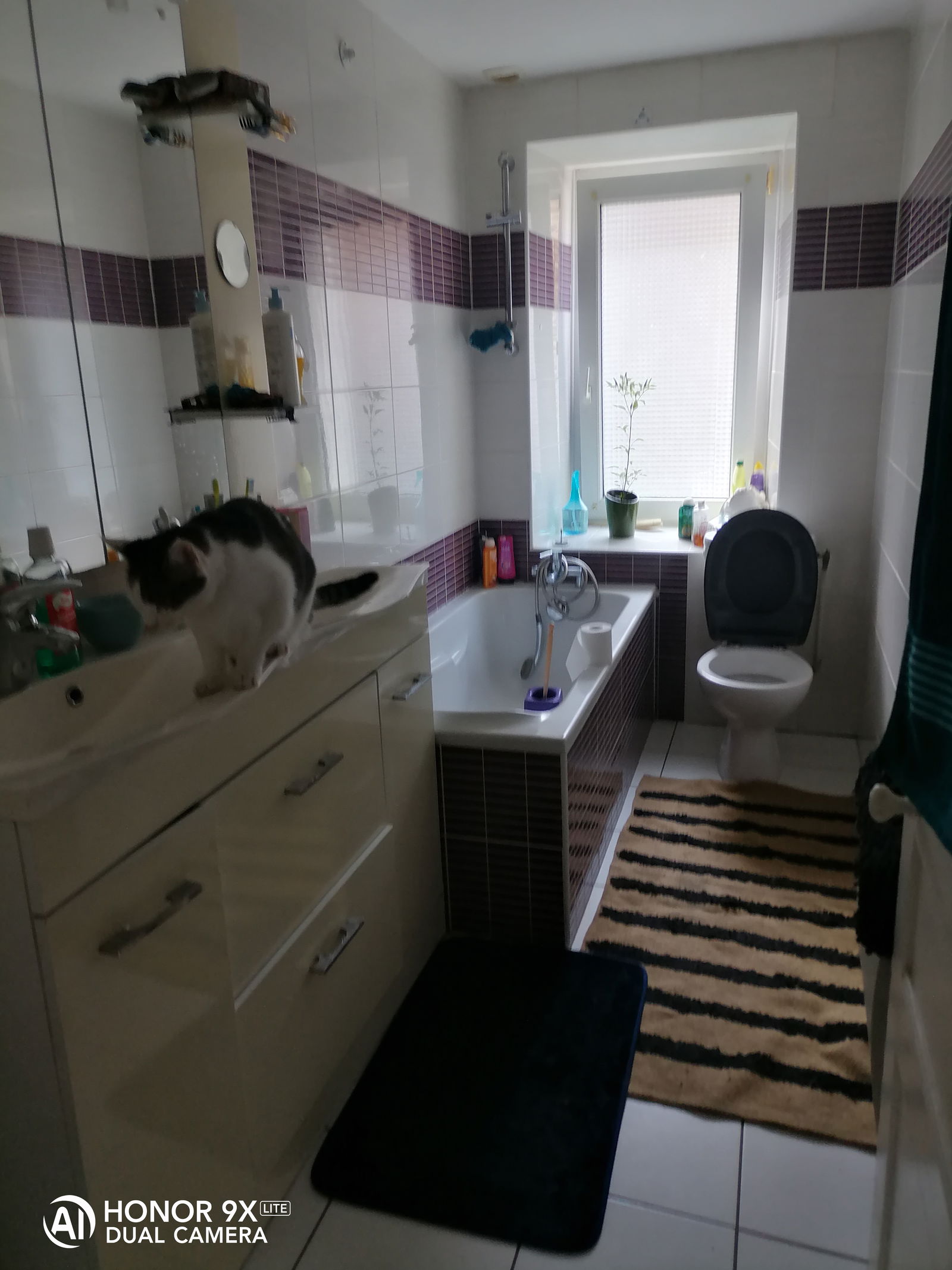 Chambre Chez L'habitant Ploërmel 431396