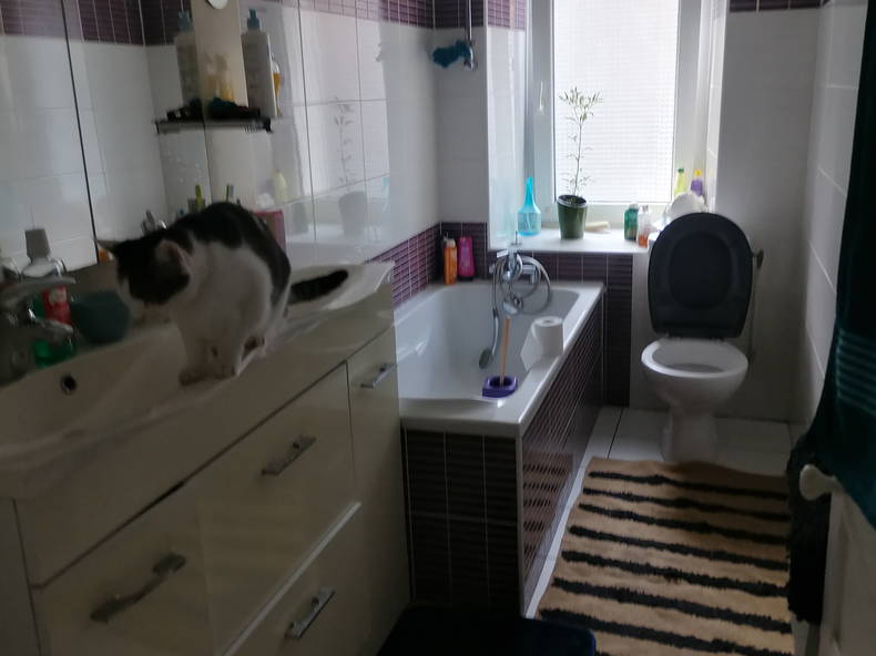 Chambre Chez L'habitant Ploërmel 431396-2