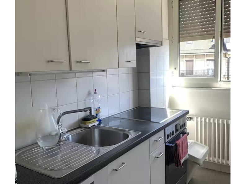 Homestay Genève 464415-3