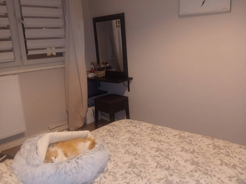 Homestay Saint-Chamond 469866-1