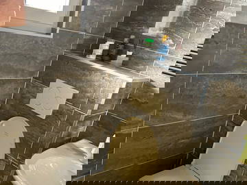 Coliving Genève 644913-6